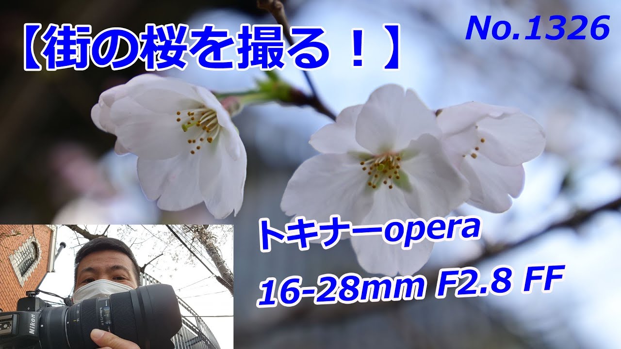 Cherry blossoms in the city] Shot with Tokina Opera 16-28mm F2.8 