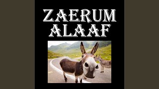 Zaerum Alaaf (with Joep Gommans \u0026 Jan van Eersel)