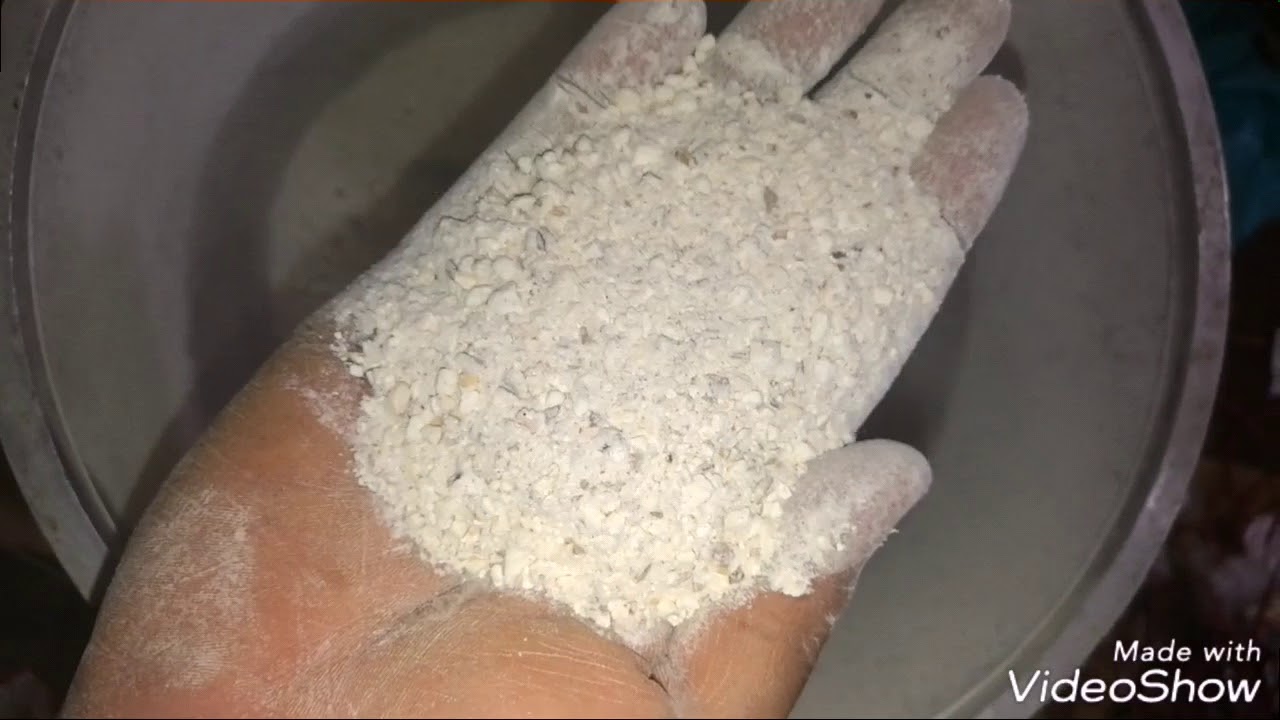 بعض من البذور للتسمين حق خلطه ولد الشرقيه اقوى بروتين من البذور ما شاء الله مرحبا مليون