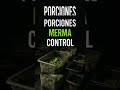 La cocina define tu rentabilidad #gastronomía#Shorts #Cocina #Rentabilidad #CMG
