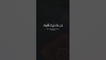 ماتيسر من سورة المؤمنون - القارئ : احمد النفيس #tiktok #quran_h2o
