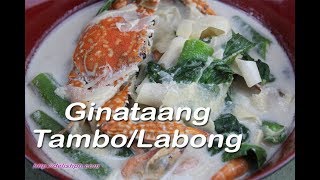 Ginataang Tambo/Labong (Bamboo Shoots in Coconut milk)