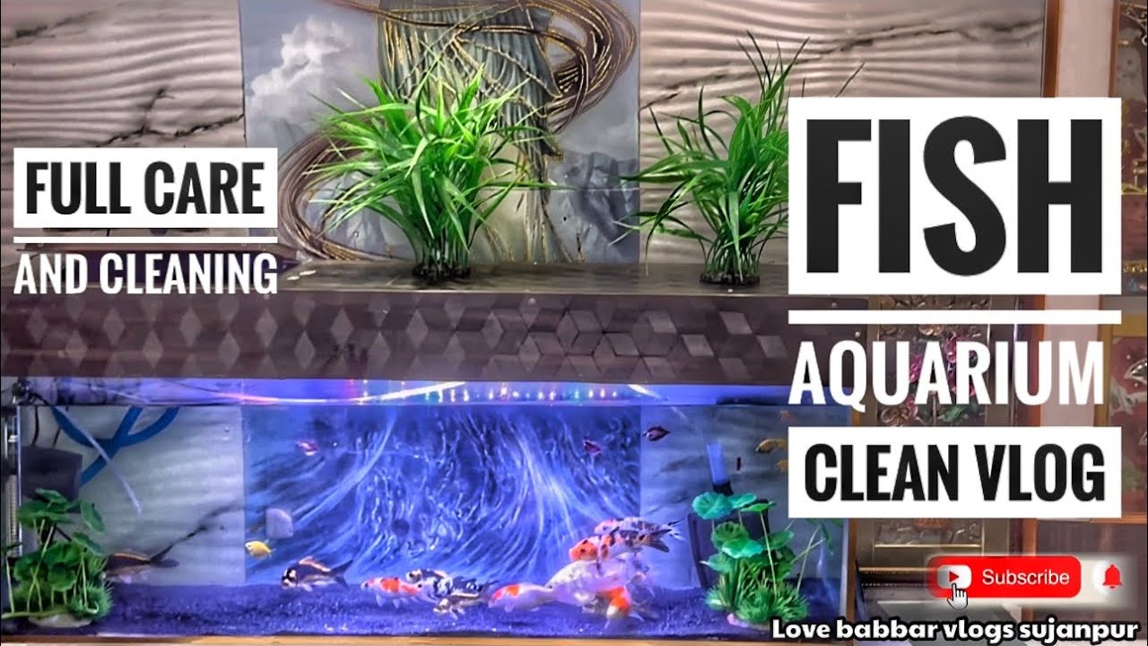 Fish aquarium cleaning care treatment fish aquarium ka pani kaise