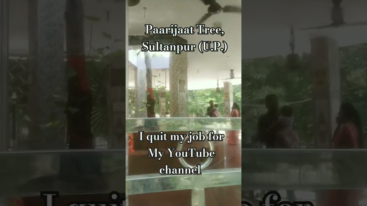 पारिजात वृक्ष( paarijaat )|पारिजात 