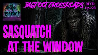 Sasquatch At The Window | Bigfoot Crossroads Ep.228