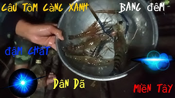 Câu tôm càng xanh bang đêm trải nghiệm tuyệt vời, miền tây yêu dấu