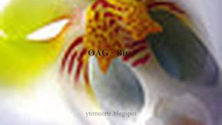 Video thumbnail of "OAG - Biru"