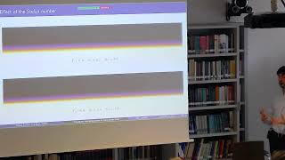 [PhD] Tomas Fullana - Simulation and optimization of complex phenomena in multi-phase flows Profile