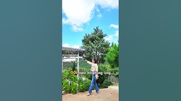 NGỠ NHƯ MƠ! Homestay 447m² view xanh mát sát Cam Ly–Pháp lý chuẩn–nghỉ dưỡng, kinh doanh hút khách