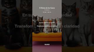 El Reino De Los Gatos Mascoteo