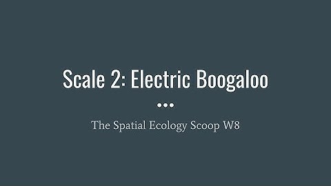 The Spatial Ecology Scoop W8: Scale 2 Electric Boogaloo...