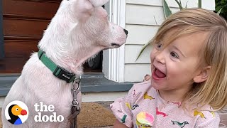 2YearOld Girl Convinces Her Mom To Adopt A Deaf Puppy | The Dodo Adoption Day