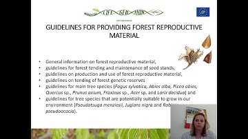 Kristina Sever: Proposed guidelines on forest genetic conservation for integration in forest managem