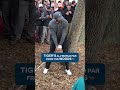 Don’t try this at home 🫣