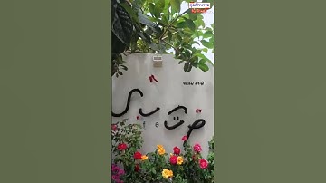 เครื่องดื่มดี ขนมอร่อย #ซันอัพคาเฟ่ #แปดริ้ว #ฉะเชิงเทรา #คุณป้าพาชม  by ป้าแดง #shorts