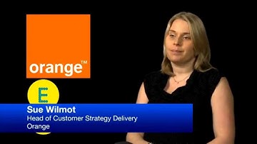 Marketing Case Insight 7.1: Orange