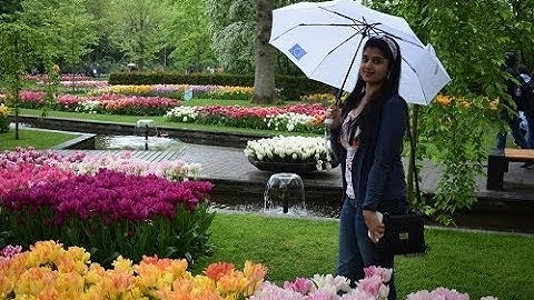 Keukenhof | Tulip Garden [Amsterdam, Nederlands]