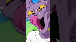 Bills Tira Sarro De Shampa Chora Gordão.