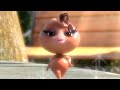LARVA LES FILLES Film Complet 2018 Cartoon Pour Les Enfants WildBrain 