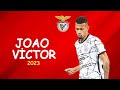 Joao victor  skills  defensive skills  2023  