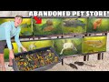 Saving every fish from abandoned pet store