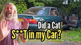 A cat got trapped in the lockup up with my car, and other stuff