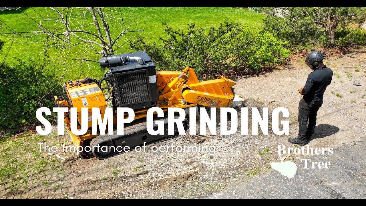 Stump Grinding | Brothers Tree Service - YouTube