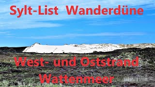 Auf Sylt - Deutschlands einzige Wanderdüne, West- und Oststrand und Wattenmeer um List(2021, 4k)