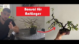 unkrautvernichter efeu Purgrün Efeu-Dünger 1 Liter