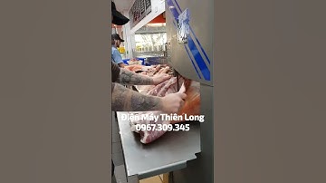 Máy Cưa Xương Cắt Thịt Cá Đông Lạnh ALPHA | Điện Máy Thiên Long📞0️⃣7️⃣9️⃣7️⃣8️⃣6️⃣8️⃣7️⃣8️⃣8️⃣