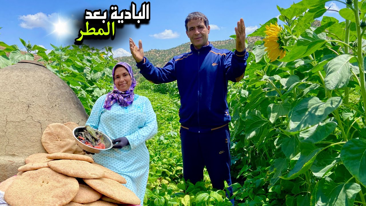 جولة في حقل الفاصولياء و تحضير الخبز الطازج في فرن تقليدي