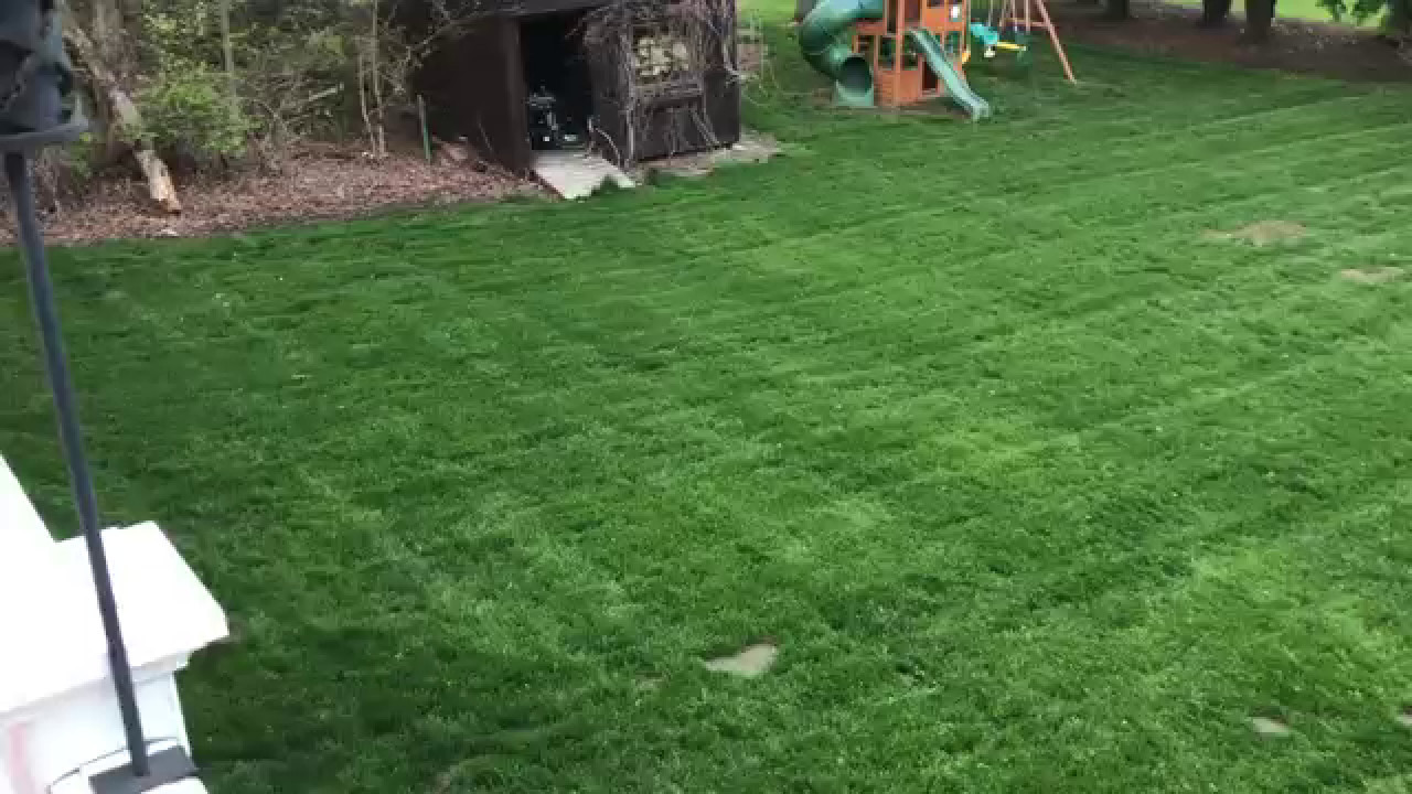 Lawn Renovation #22 - YouTube