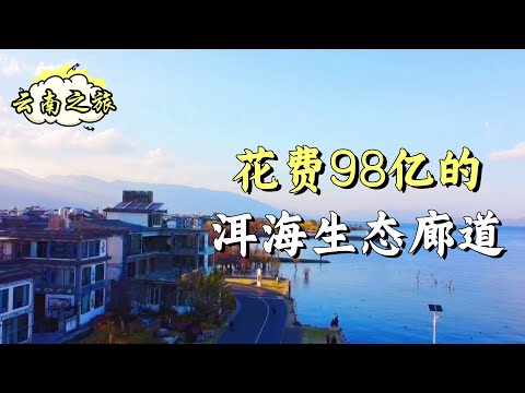 What does the Erhai Ecological Corridor built by 9.8 billion look like? 【Happy aunt】