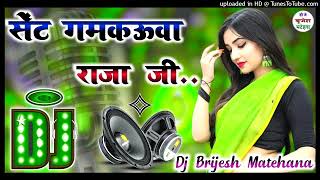 Sent Gamkaua Raja Ji 2023 Bhojpuri Virel Song Dj Brijesh Matehana