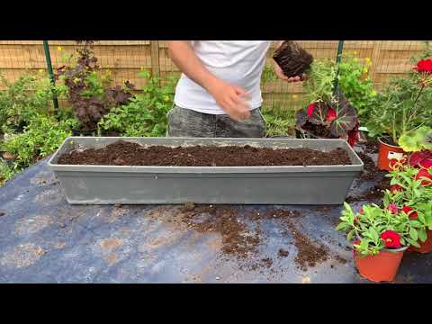 Vidéo: Jardinières de jardinière d'intérieur : faire pousser une jardinière de fenêtre à l'intérieur