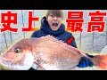 【神回】船釣りに行ったらまさかの超巨大な怪物級の生物が...
