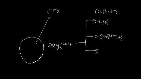 The neuroscience of anxiety
