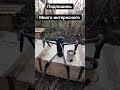 СВО (подпишись )