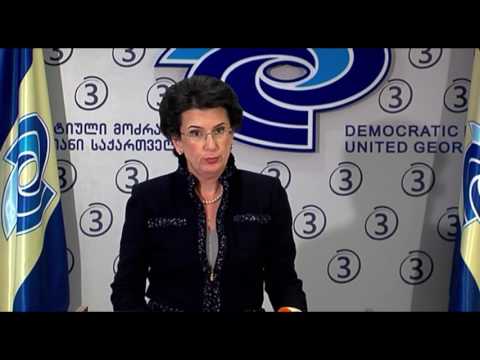 ნინო ბურჯანაძის ბრიფინგი 07.11.2016