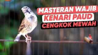 BLACKTHROAT GACOR SUARA JERNIH UNTUK MASTERAN KENARI #90