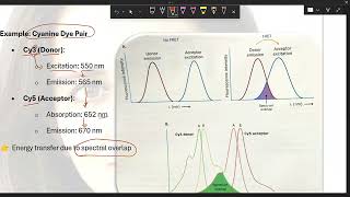 FRET | Fluorescence Resonance Energy Transfer, Mechanism & Applications