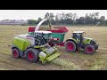 Grass Silage 2019 Claas Jaguar 970 -3 John Deere 8r|Gruppo Pea