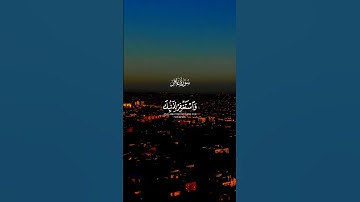 فَاصْبر إن وعد الله حق) افضل قارئ في العالم عبدالباسط عبدالصمد