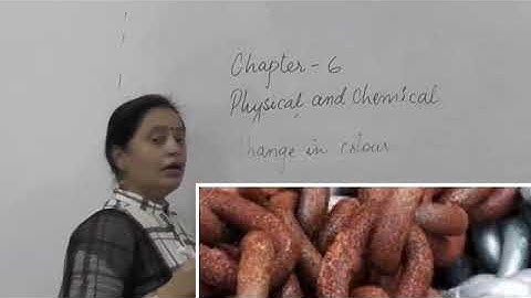 CLASS 7TH SCIENCE | CHAPTER -6 Physical and Chemical Changes | (PART- 2)