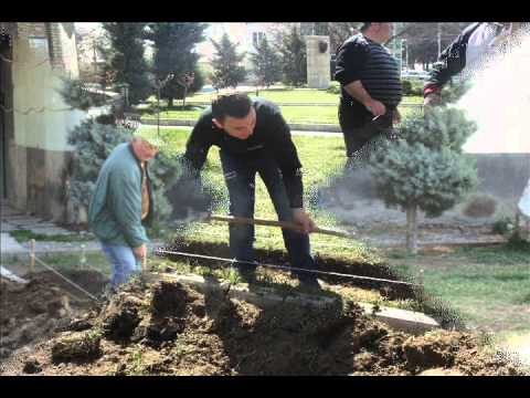 გმირთა მემორიალის მიმდებარე ტერიტორიის გამწვანება კასპში