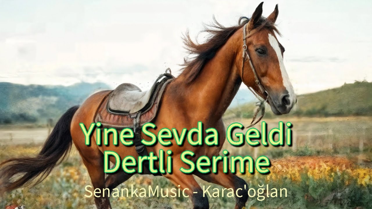 Yine Sevda Geldi Dertli Serime | Anatolian Rock (SenankaMusic 2025)