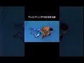 ヴォルグハンVS田村潔司RINGS '96 1.22日本武道館