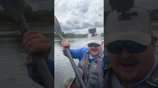 Live highlight