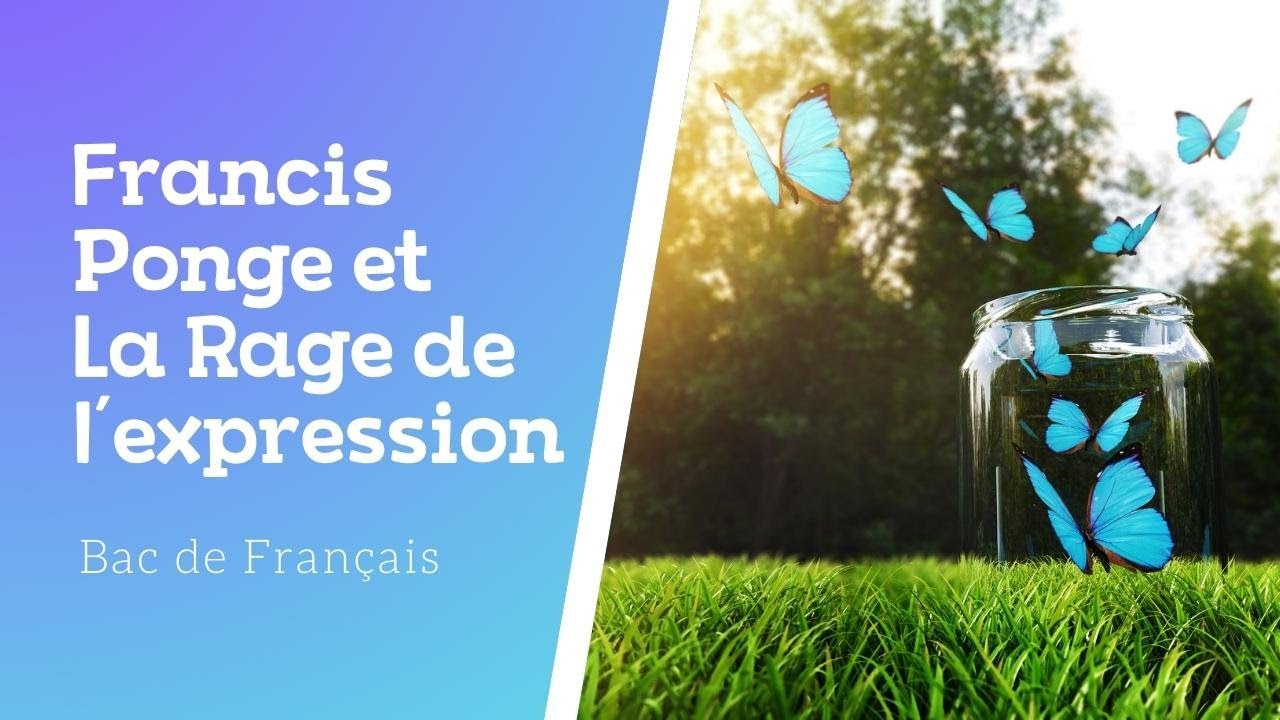 Francis Ponge et La Rage de l'expression - YouTube