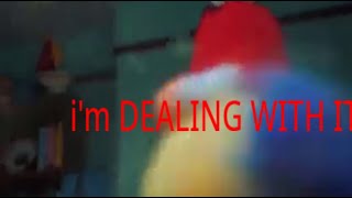 i'm DEALING WITH IT